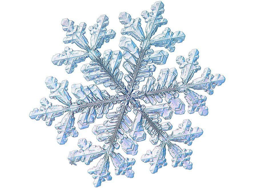 THE RINGO LETTERS – #16 – Why Do Women Flake?